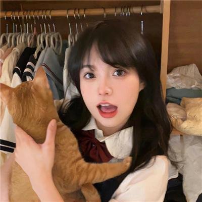 口号